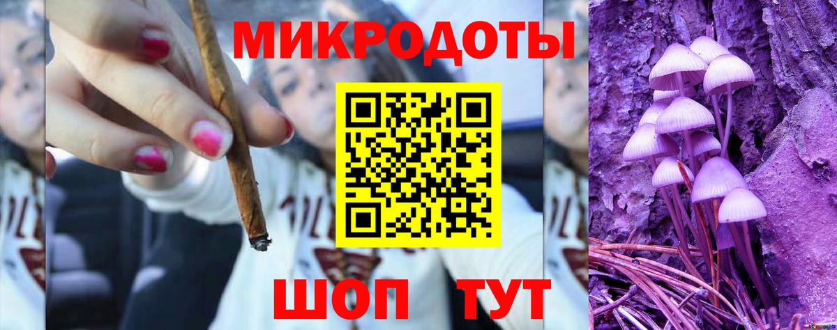 Псилоцибиновые грибы Psilocybine cubensis Шелехов