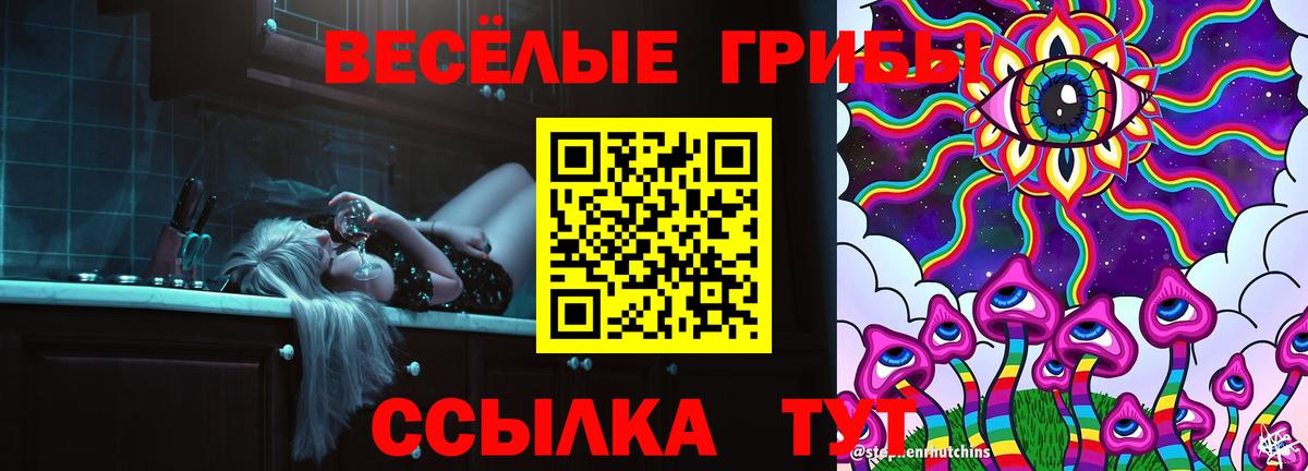 Псилоцибиновые грибы MAGIC MUSHROOMS  Вход с VPN  Шелехов 